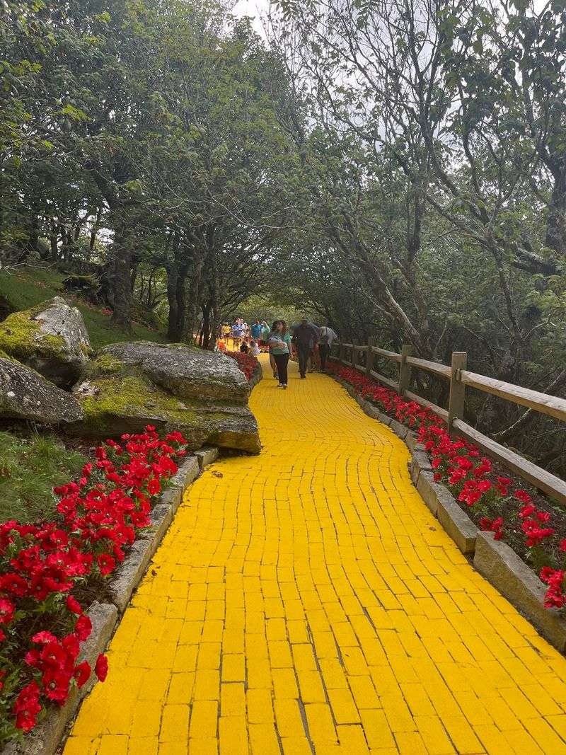 A Storybook Park Tucked Atop Beech Mountain A Storybook Park Tucked Atop Beech Mountain