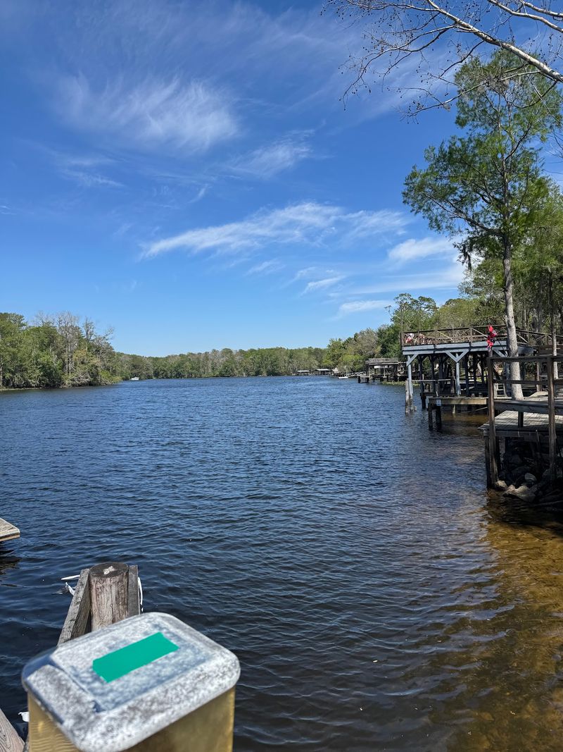 A Suwannee River Backdrop Worth the Drive A Suwannee River Backdrop Worth the Drive