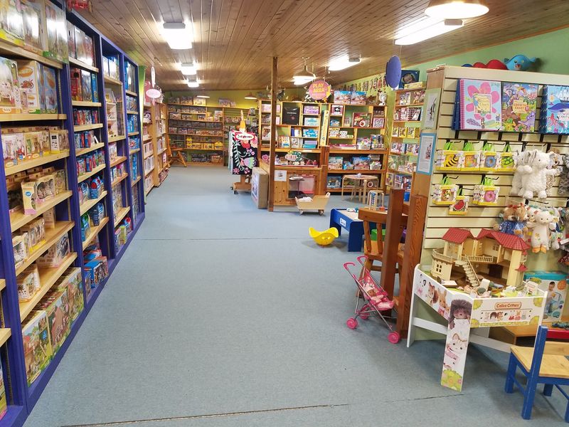 A Toy Selection That Covers Every Interest A Toy Selection That Covers Every Interest