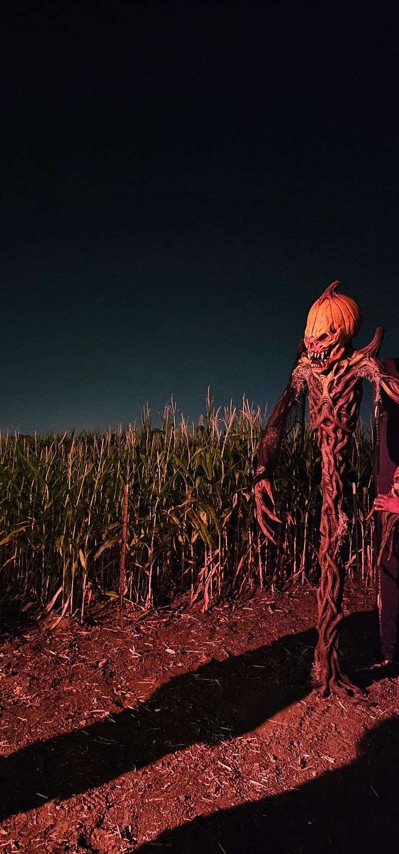 A Tractor Ride Starts the Scare A Tractor Ride Starts the Scare
