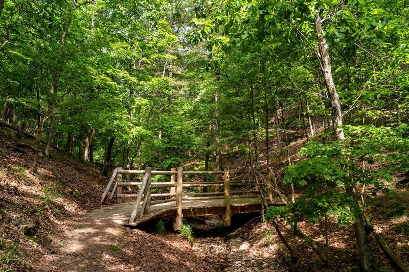 A Trail Network That Seems Almost Endless
