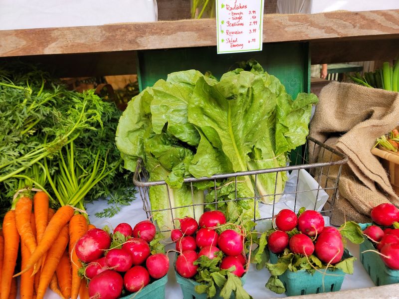 A Vegetable Selection That Impresses A Vegetable Selection That Impresses