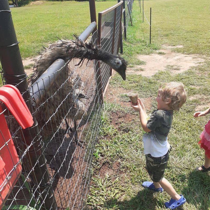 A Verdict on Why This Farm Earns the Drive A Verdict on Why This Farm Earns the Drive
