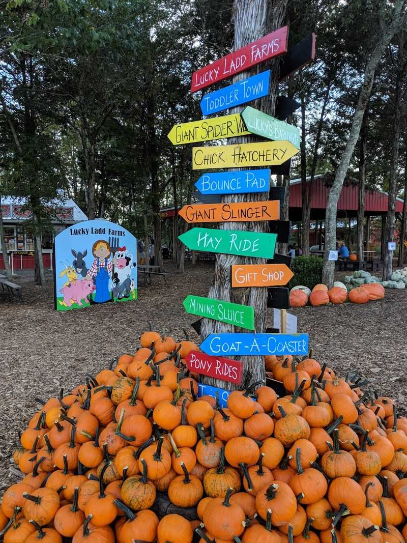 A Wagon of Pumpkins to Take Home A Wagon of Pumpkins to Take Home