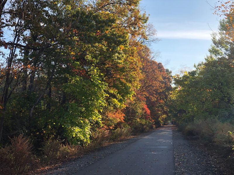A Walk That Does Not Need a Finish Line A Walk That Does Not Need a Finish Line