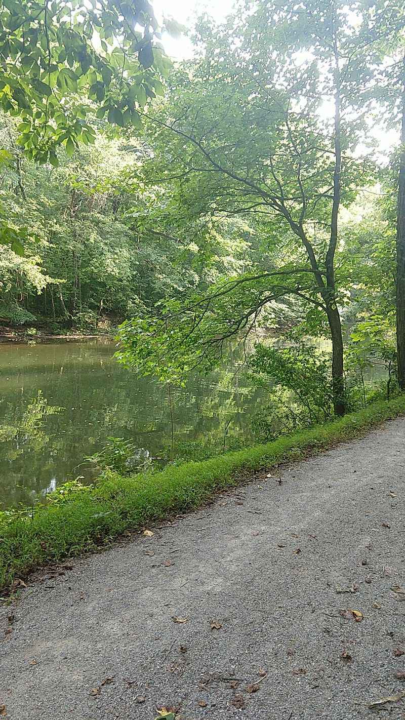 A Walking Plan Without Pressure A Walking Plan Without Pressure