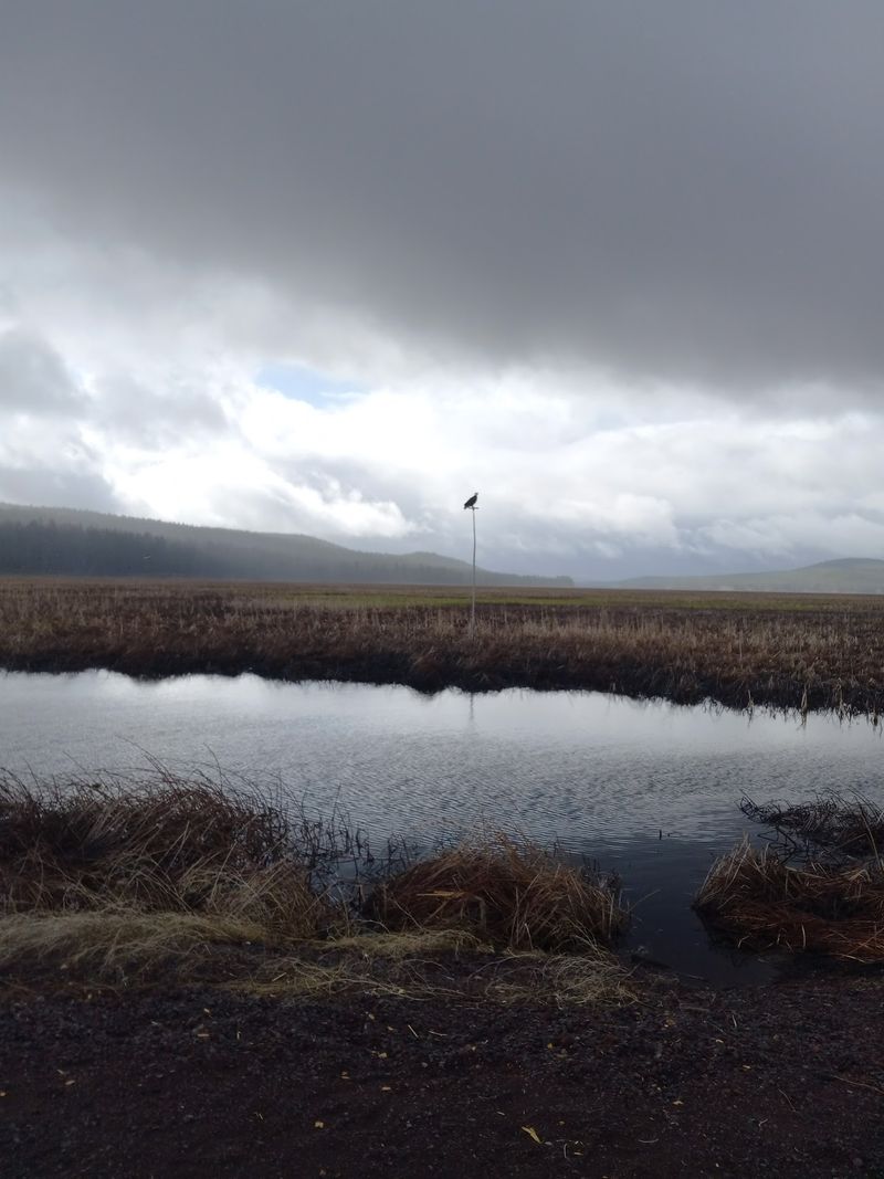 A Wetland Hiding in Oregon's High Desert A Wetland Hiding in Oregon's High Desert