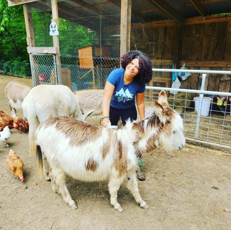 A Whole Barnyard of Friendly Faces A Whole Barnyard of Friendly Faces