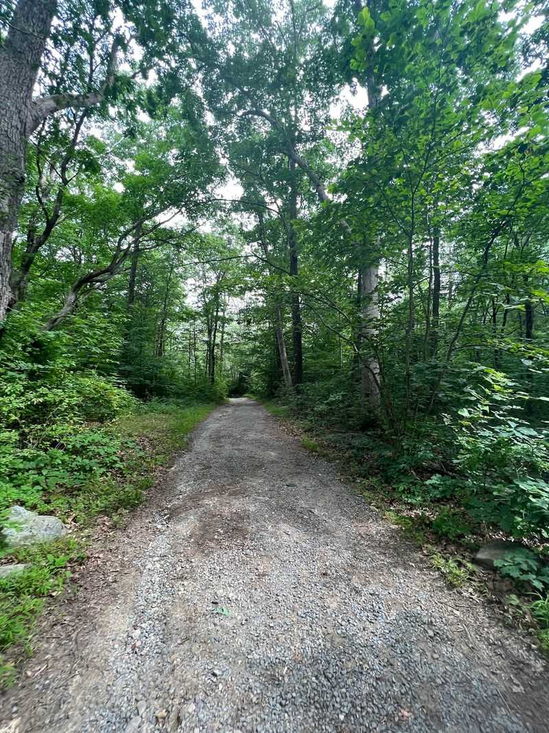 A Wooded Setting With Shuttle Or Trail Access