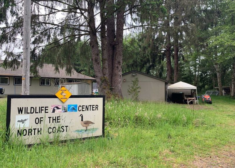 A Woodland Hideaway Off Highway 202 A Woodland Hideaway Off Highway 202