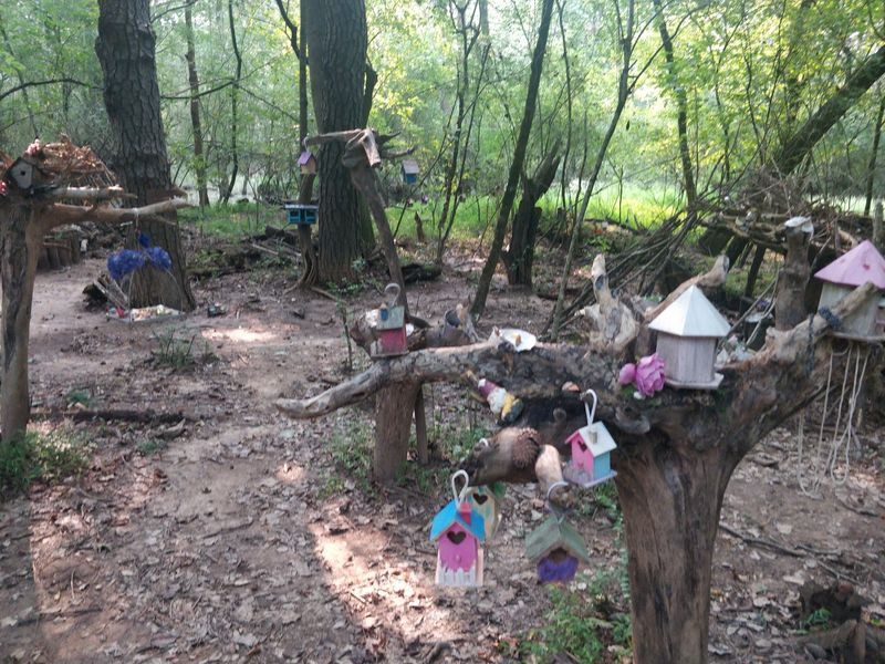 A Woodland Nook With a Story A Woodland Nook With a Story