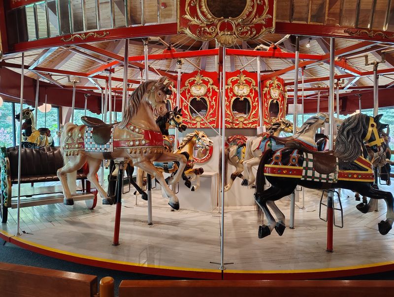 A Working Carousel Included With Your Ticket A Working Carousel Included With Your Ticket