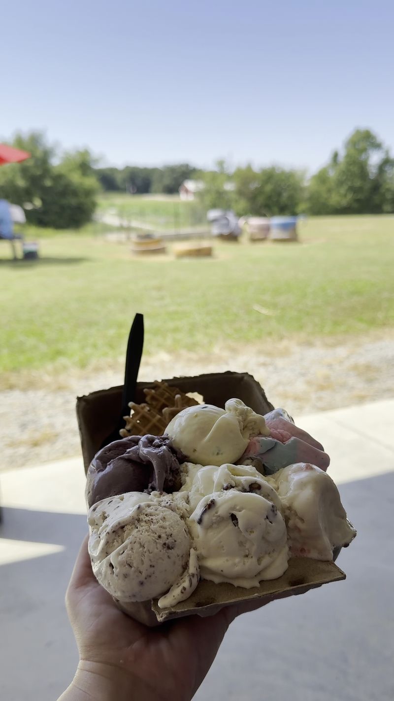 A Working Dairy Farm With a Sweet Ending