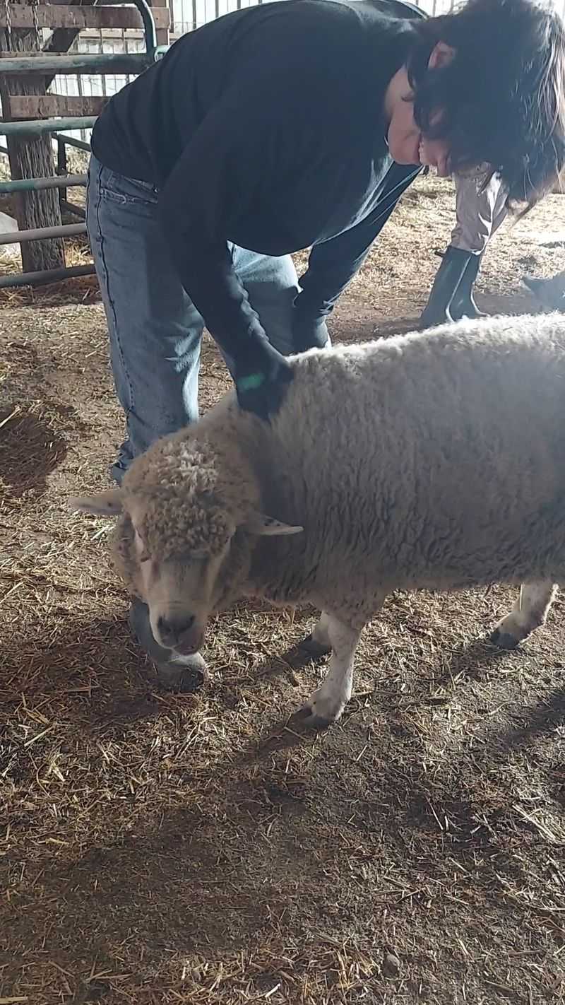 A Working Farm, Not A Petting Zoo A Working Farm, Not A Petting Zoo