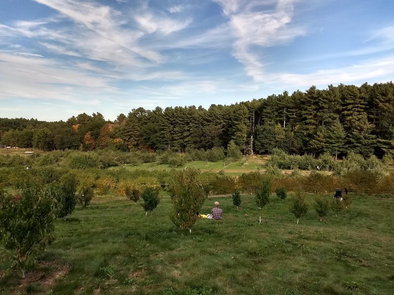 A Working Farm Where the Trees Start at the Parking Lot A Working Farm Where the Trees Start at the Parking Lot