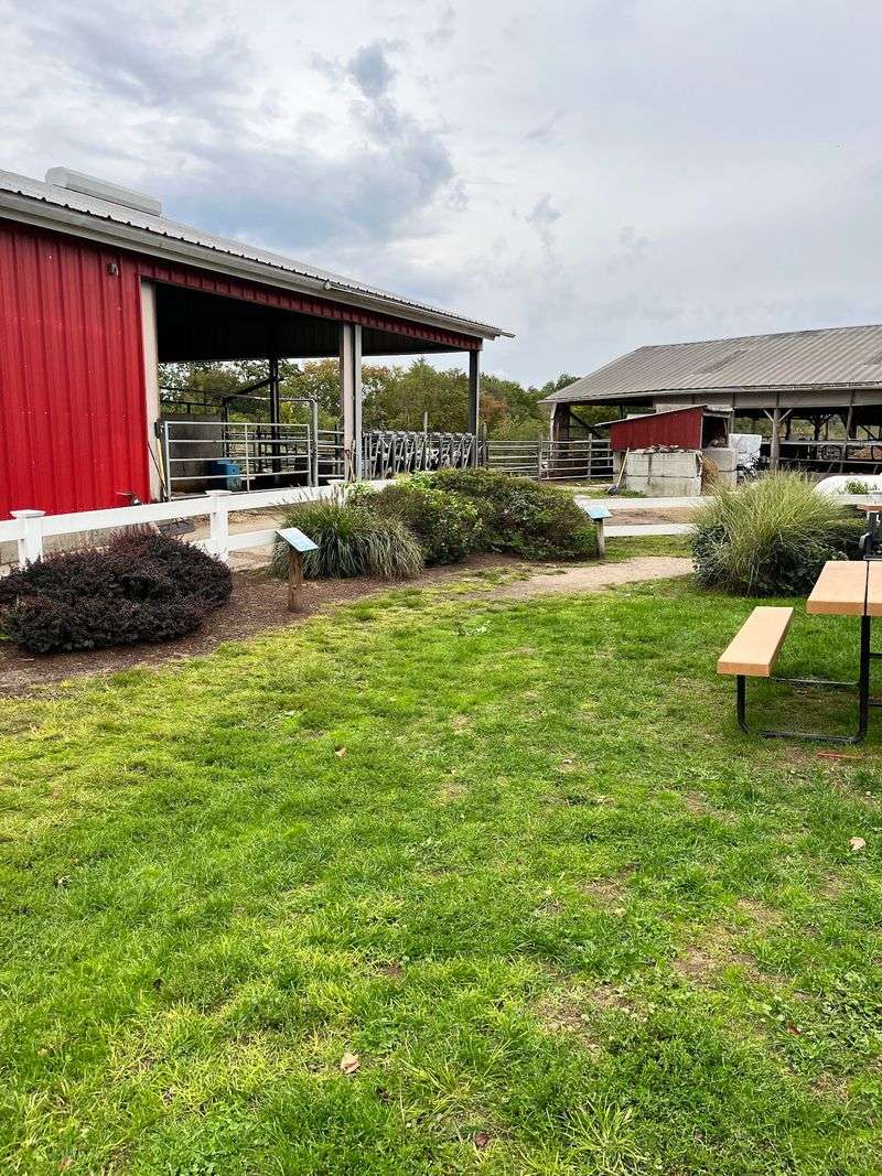 A Working Farm With a Shop Attached A Working Farm With a Shop Attached