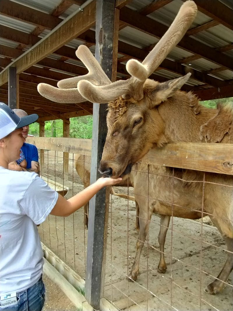 A Working Farm With a Wild Twist A Working Farm With a Wild Twist