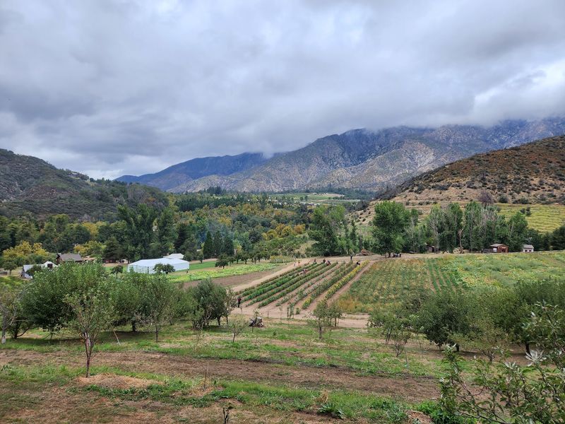 A Working Farm in the Oak Glen Foothills A Working Farm in the Oak Glen Foothills
