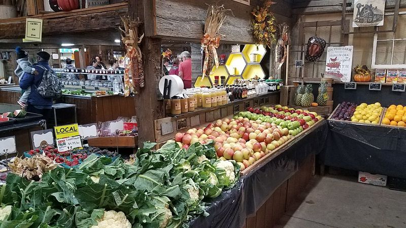 A farm visit with a useful finish