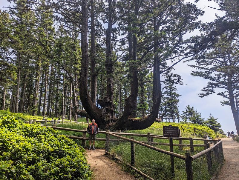 A scenic pause only works when you choose a safe place to stop