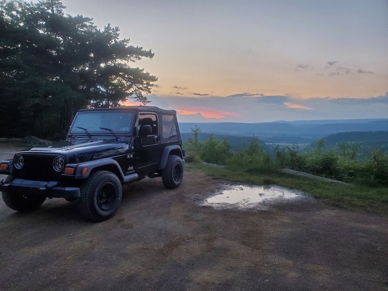 ATVs, Snowmobiles, and Beyond: Motorized Fun in the Forest