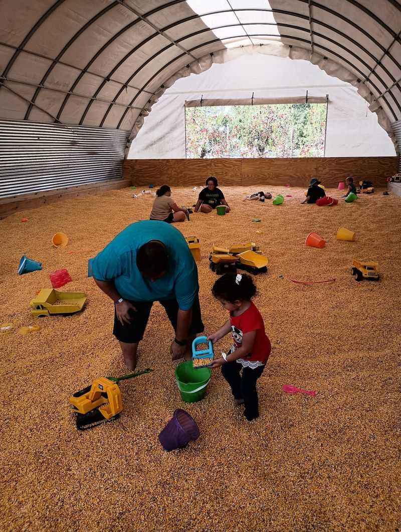 Activities Built for Every Age