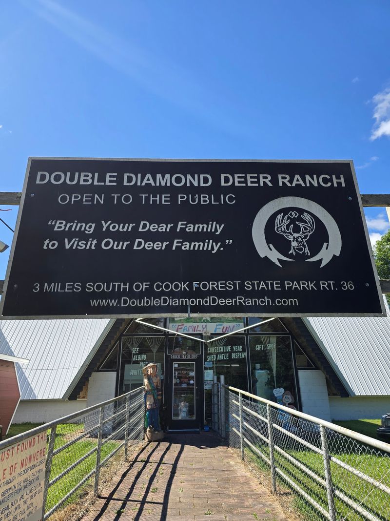 Admission, Hours, and Everything You Need to Plan Your Visit