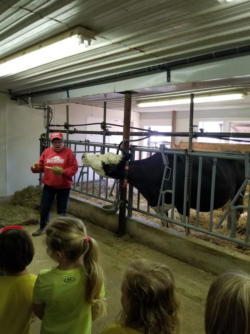 Agricultural Education With Real Hands-On Value