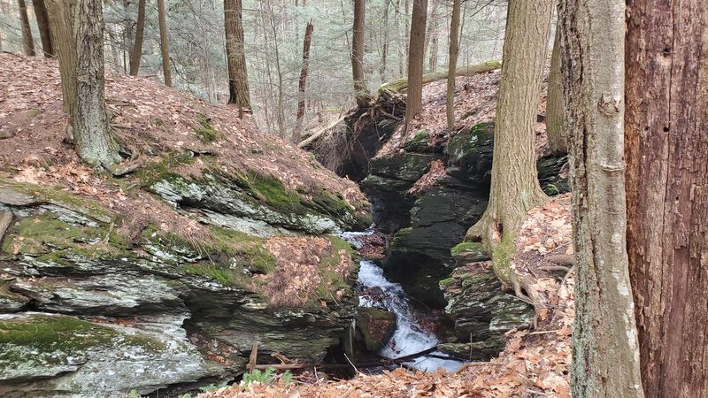 An Accessible Trail for Everyone An Accessible Trail for Everyone