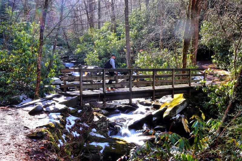 An Easygoing Start Along the Creek An Easygoing Start Along the Creek