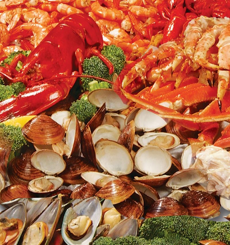 An Ocean's Worth of Variety