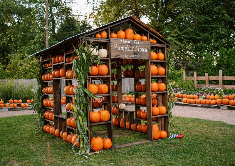 An autumn version of the farm