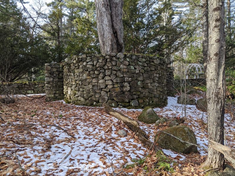 Ancient Trees and Hidden Stone Walls Ancient Trees and Hidden Stone Walls