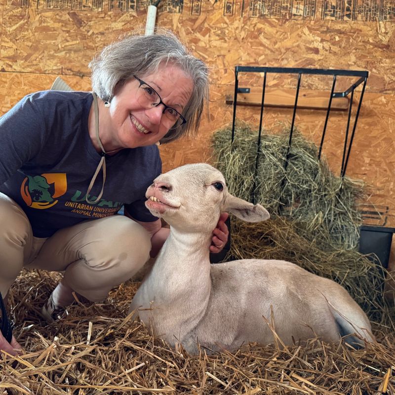Animal Interaction That Feels Genuine Animal Interaction That Feels Genuine