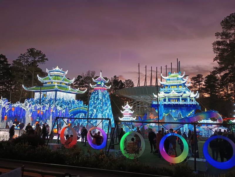 Animals Built From Light and Color Animals Built From Light and Color
