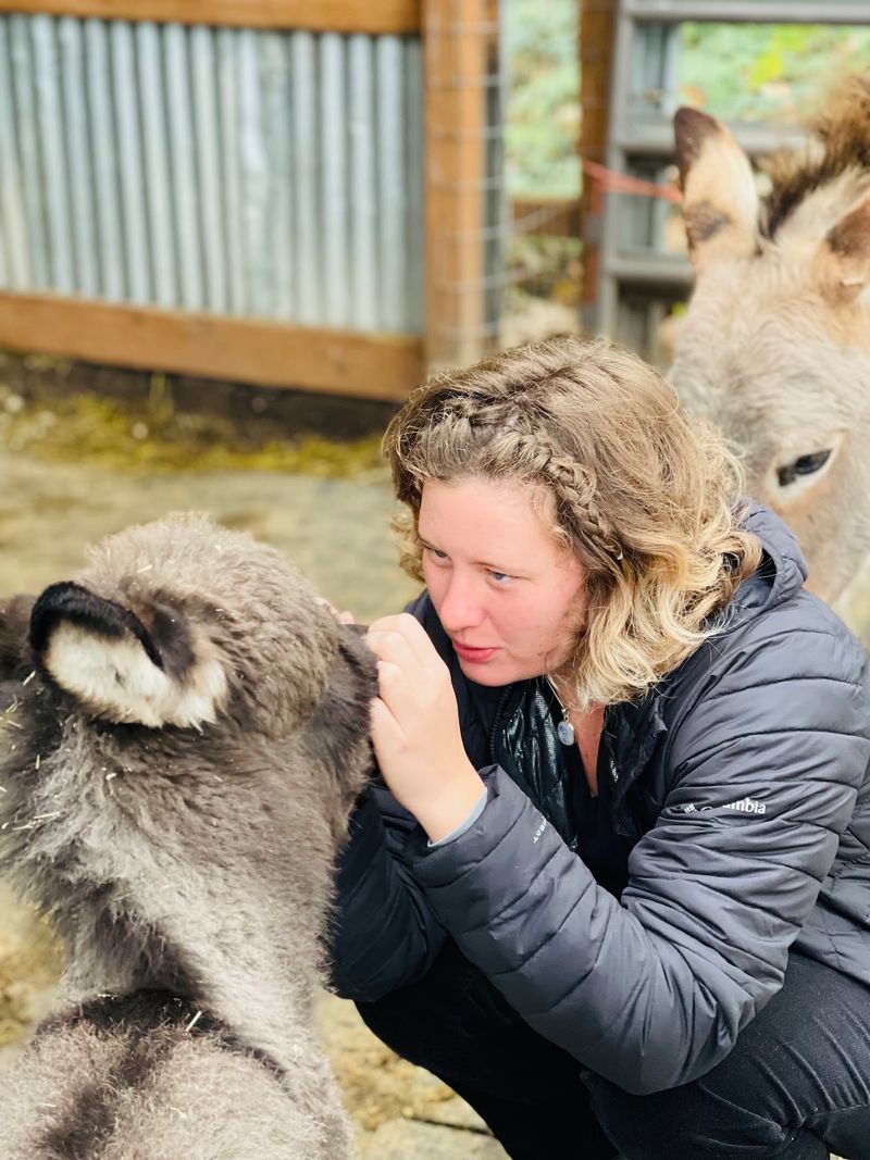 Animals That Are Genuinely Happy and Cared For