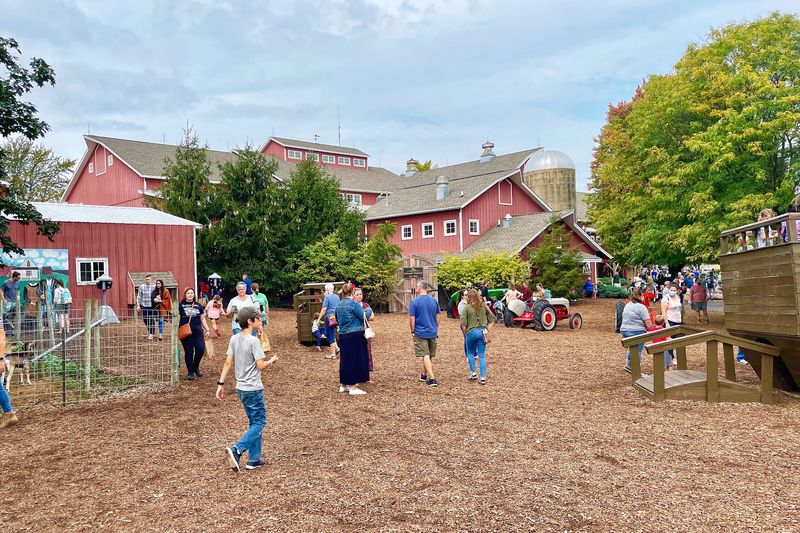 Animals, a Playground, and the Museum Barn Animals, a Playground, and the Museum Barn