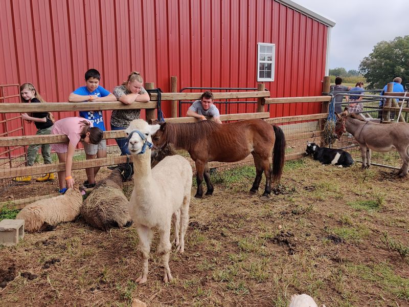 Animals to Meet Across the Pasture Animals to Meet Across the Pasture