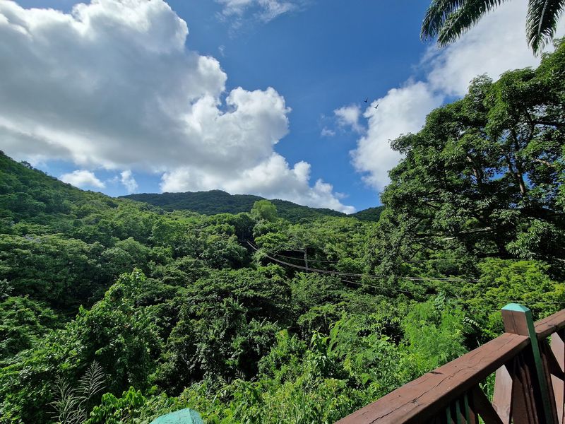 Antigua Rainforest Canopy Tour, Antigua Antigua Rainforest Canopy Tour, Antigua