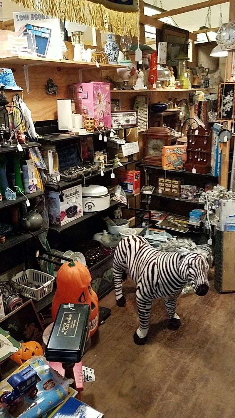 Antiques, Collectibles, and Genuine Oddities Antiques, Collectibles, and Genuine Oddities