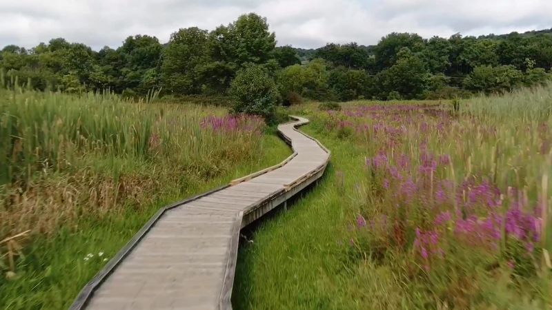 Appalachian Trail Boardwalk, Glenwood, NJ