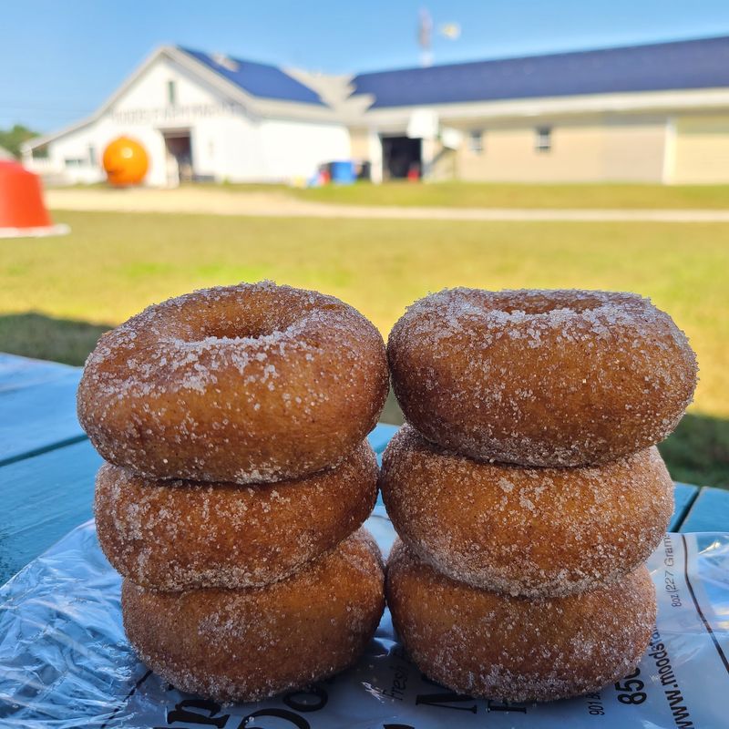 Apple Cider Donuts at the Center