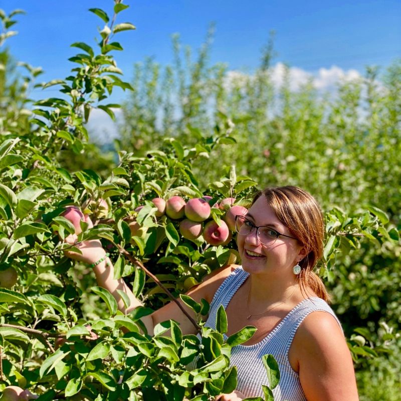 Apple Dave’s Orchards, Warwick, NY Apple Dave’s Orchards, Warwick, NY