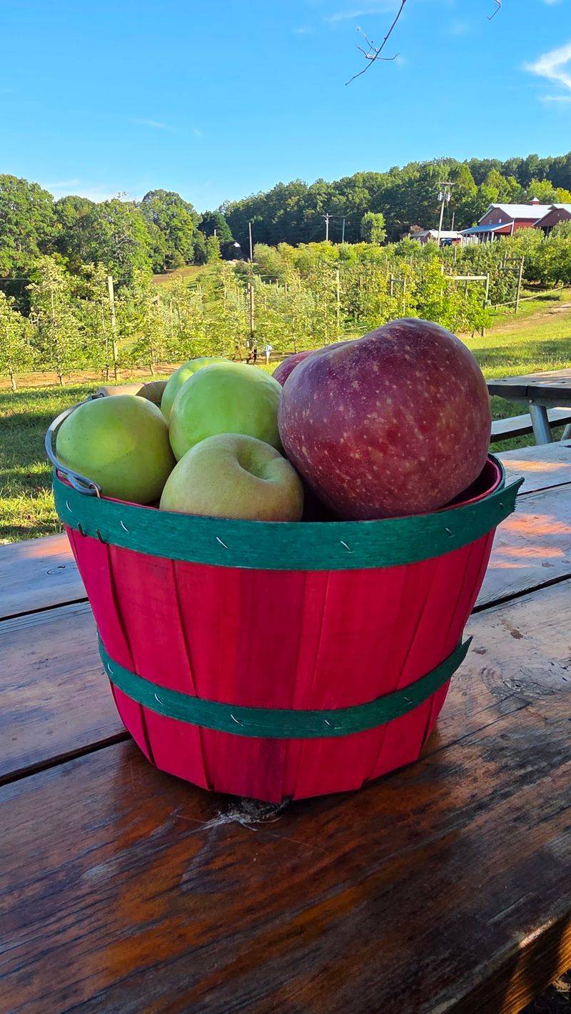 Apple Hill Orchard and Cider Mill, North Carolina, Morganton Apple Hill Orchard and Cider Mill, North Carolina, Morganton