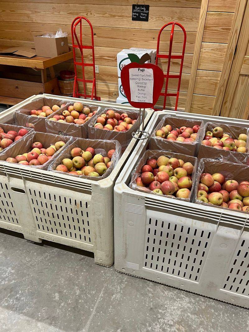 Apples Grown the Honest Way Apples Grown the Honest Way