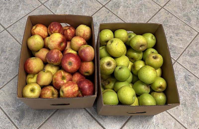 Apples In Every Variety You Can Name Apples In Every Variety You Can Name