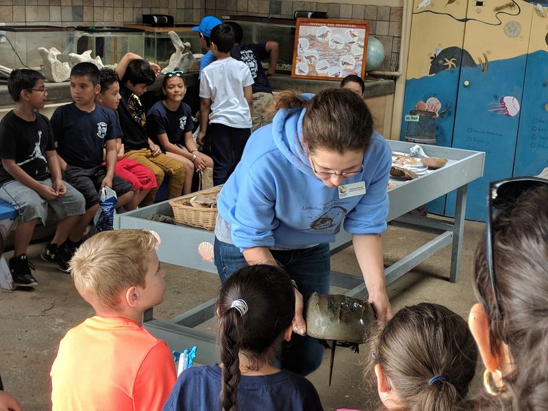 Aquatic Lab Lessons From The Coast