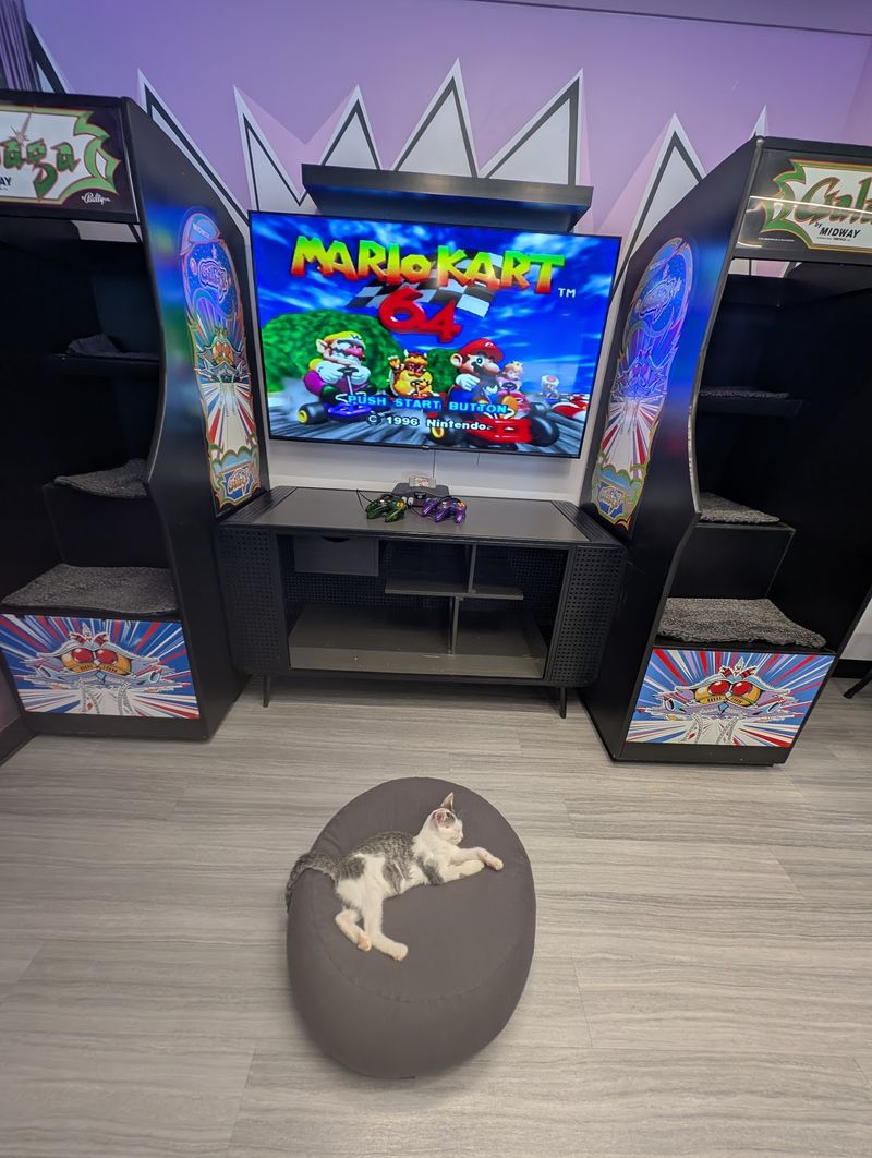 Arcade Games and Cat Chaos Arcade Games and Cat Chaos