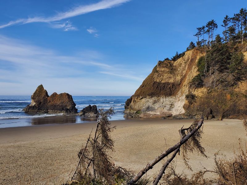 Arcadia Beach State Recreation Site, Arch Cape, OR Arcadia Beach State Recreation Site, Arch Cape, OR