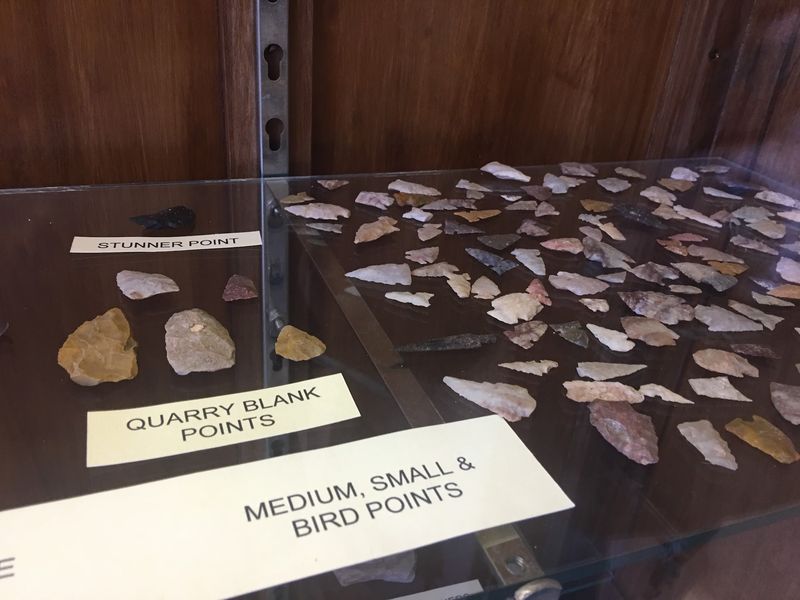 Arrowhead and Spearhead Collection